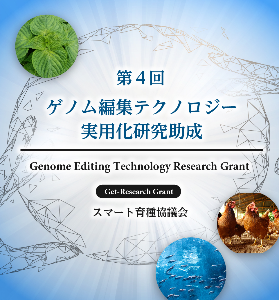 ゲノム編集テクノロジー実用化研究助成
